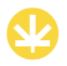 Bud Express – Toronto | Legal Weed Delivery